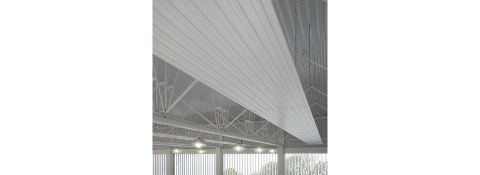 ARBONIA: Эффективное отопление для вашего комфорта