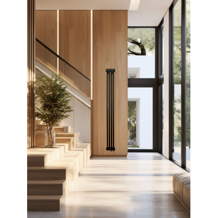 Радиатор Arbonia 2180/4 секции нижнее подключение цвет черный RAL 9005 MATT Радиатор Arbonia 2180/4 секции нижнее подключение цвет черный RAL 9005 MATT